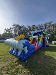 IMG 9596 1748296201 Shark Attack Dual Lane Combo DRY